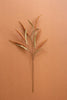 Set of 6 Botanica #9071 – image 1
