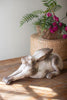 Faux Concrete Rabbit - Laying – image 1