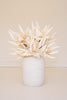 Set of 6 Botanica #2446 – image 2