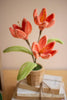 Set of 4 Potted Pipe Cleaner Botanica – image 2