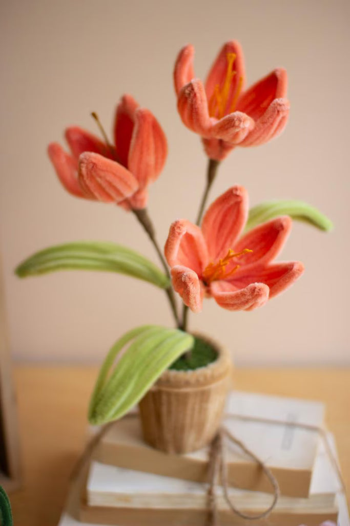Set of 4 Potted Pipe Cleaner Botanica – image 2