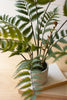 Set of 2 Artificial Fern in a Cement Pot – image 2