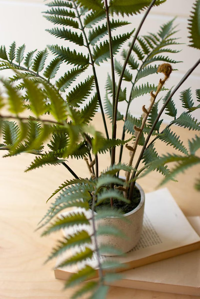 Set of 2 Artificial Fern in a Cement Pot – image 2