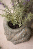 Terracotta Frog Planter with Rustic Glaze - image 2