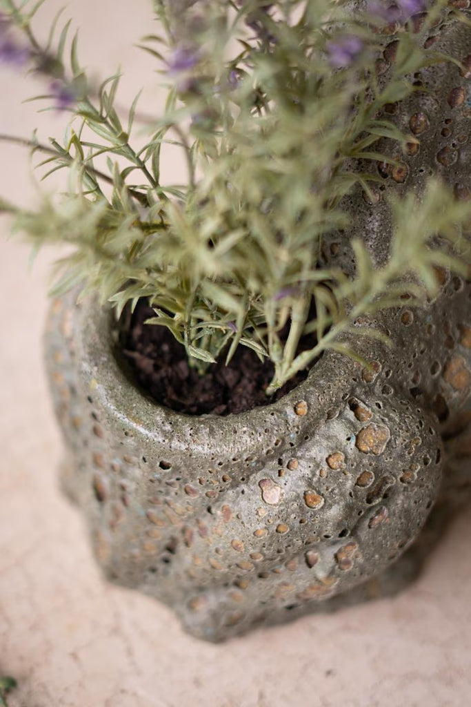 Terracotta Frog Planter with Rustic Glaze - image 2