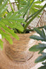 Iron and Seagrass Urn – image 4