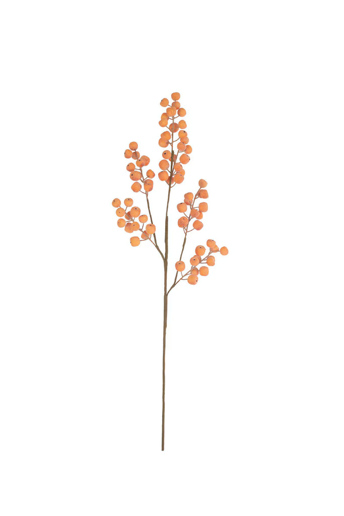 Set of 6 Botanica #9020 – image 4