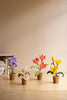 Set of 4 Potted Pipe Cleaner Botanica – image 1