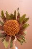 Set of 6 Botanica #2885 – image 5