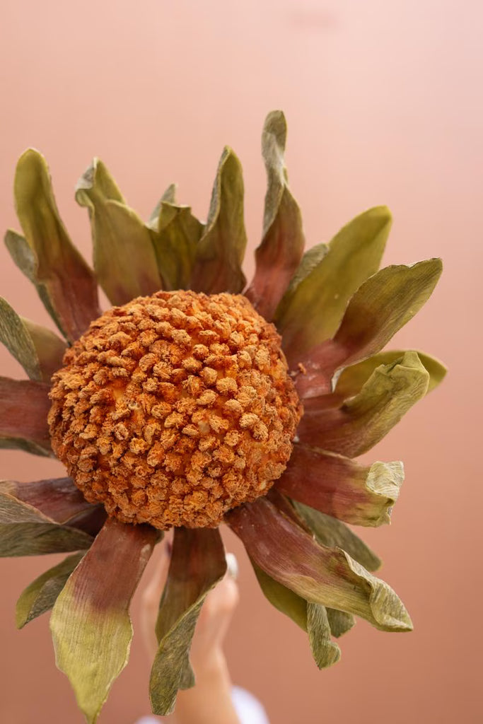 Set of 6 Botanica #2885 – image 5