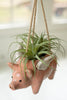 CERAMIC HANGING FLYING PIG PLANTER (MIN 2) — Kalalou CDV2243K