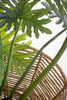 Iron and Seagrass Urn – image 5