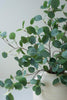 Set of 6 Botanica #3508 – image 3