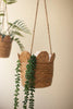 Set of 6 Woven Seagrass Hanging Planter Basket – image 3