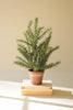 Set of 4 Artificial Rosemary Plant in a Faux Terracotta Pot – image 1