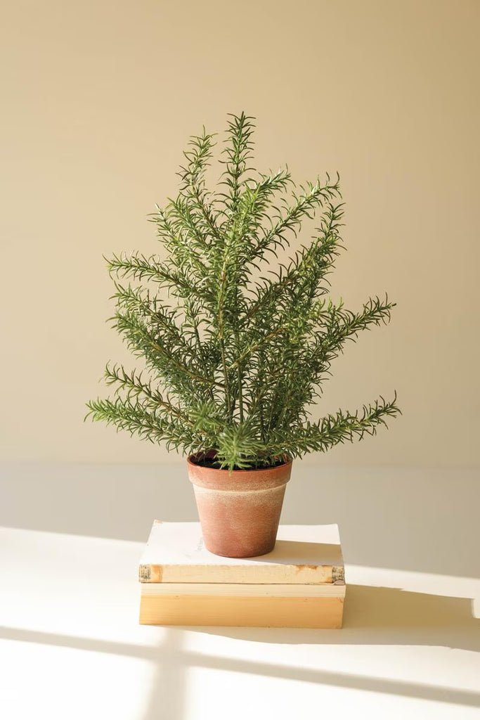 Set of 4 Artificial Rosemary Plant in a Faux Terracotta Pot – image 1