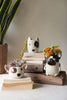 Ceramic French Bulldog Planter - image 2