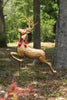 Metal Reindeer Yard Stake – image 1