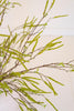 Set of 6 Artificial Willow Flowers Spray - Green – image 4
