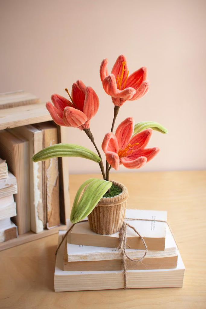 Set of 4 Potted Pipe Cleaner Botanica – image 6