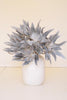 Set of 6 Botanica #2547 – image 2