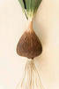 Set of 2 Painted Metal Flower Wall Sconces - image 6