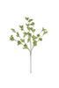 Set of 6 Botanica #9035 – image 5