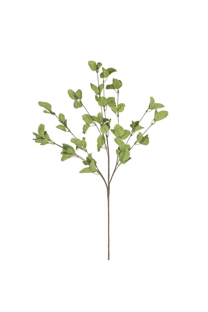 Set of 6 Botanica #9035 – image 5