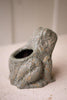 Terracotta Frog Planter with Rustic Glaze - image 3