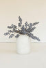 Set of 6 Botanica #9021 – image 2
