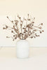 Set of 6 Botanica #2863 – image 1