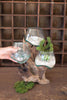 THREE BLOWN GLASS BOWLS ON A DRIFTWOOD BASE — Kalalou DWA1007
