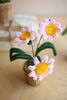 Set of 4 Potted Pipe Cleaner Botanica – image 4