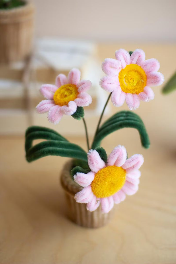 Set of 4 Potted Pipe Cleaner Botanica – image 4
