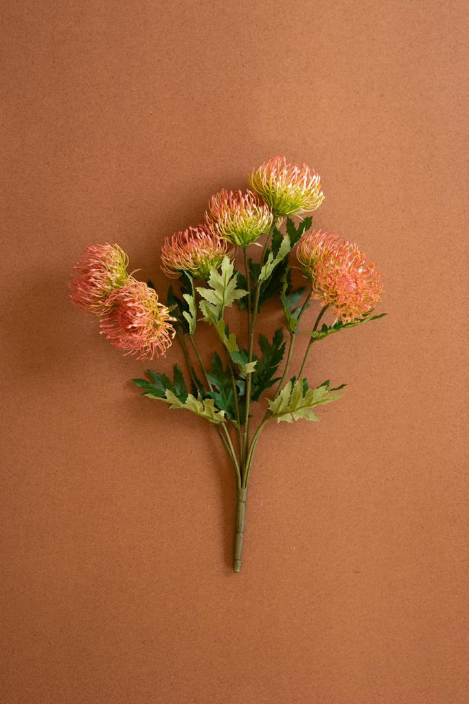 Set of 6 Artificial Pin Cushion Protea - Antique Blush – image 1