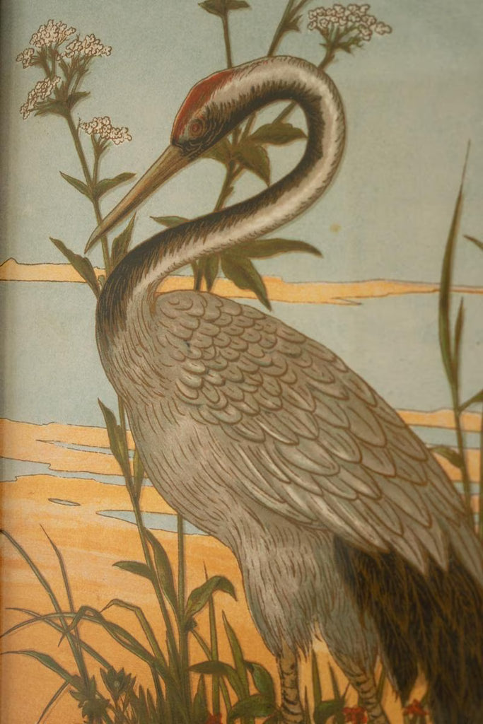 Set of 2 Framed Heron Prints Under Glass – image 3