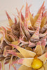 Set of 6 Botanica #2855 – image 3