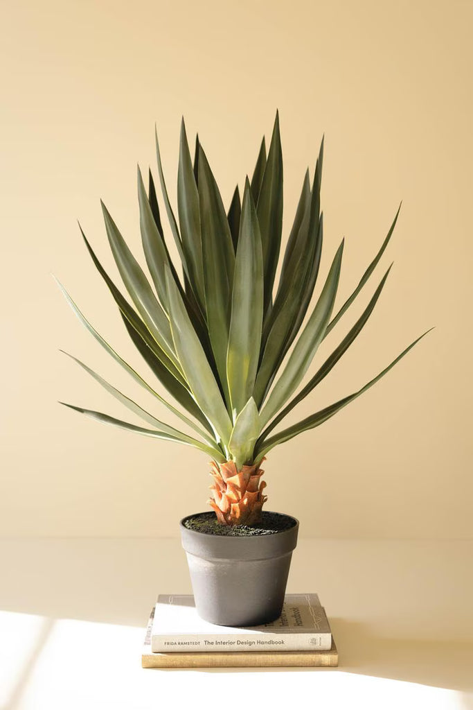 Artificial Sisal Plant in Black Plastic Pot - 27" – image 1