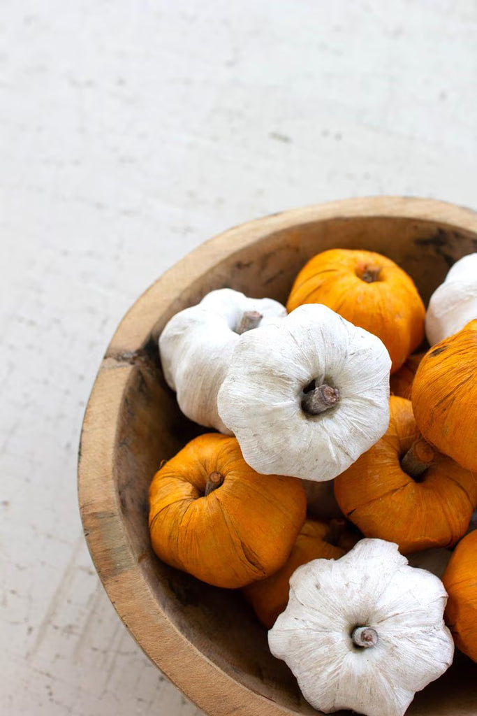 Bag Of 15 Dried Orange Miniature Pumpkins - White — Kalalou NSBE1025