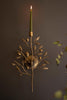 Antique Brass Fruit Tree Taper Wall Sconce - image 4
