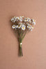 Set of 6 Chamomile Bundle (6 Stems) - White – image 1