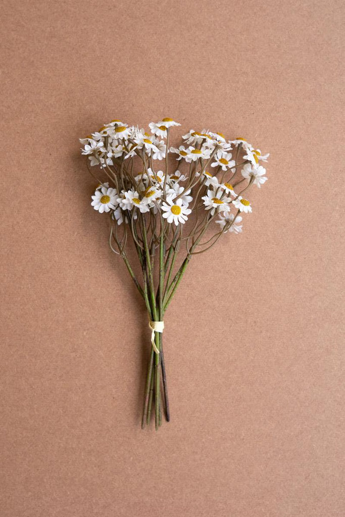Set of 6 Chamomile Bundle (6 Stems) - White – image 1