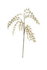 Set of 6 Botanica #2502 – image 4
