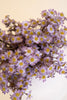 Set of 6 Chamomile Bundle (6 Stems) - Lavender – image 3