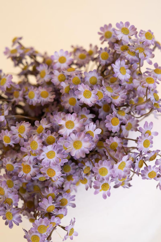 Set of 6 Chamomile Bundle (6 Stems) - Lavender – image 3