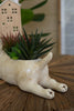 Set of 2 Ceramic Bull Terrier Planter (min 2) – image 3