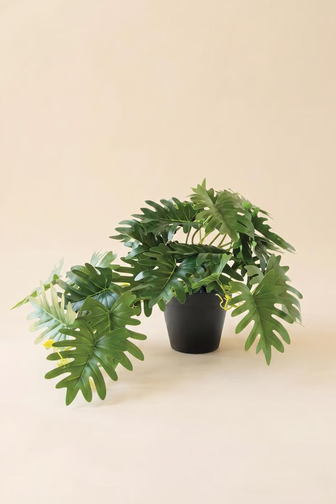 Set of 6 Artificial Mini Philodendron in a Black Plastic Pot – image 3