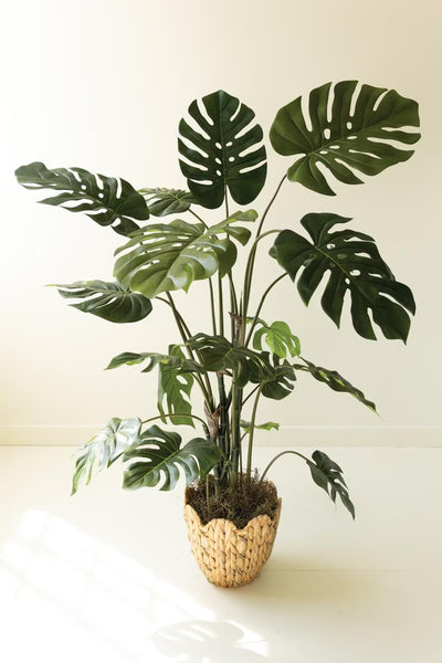 Artificial Potted Grand Monstera Tree in a Black Plastic Pot – image 1