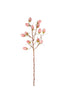 Set of 6 Botanica #3572 – image 4