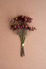 Set of 6 Chamomile Bundle (6 Stems) - Burgandy – image 1